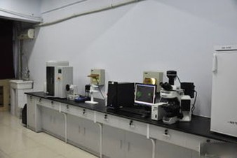 國家水質自動監測系統與網絡的構成
