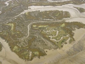 水中總固體測定方法